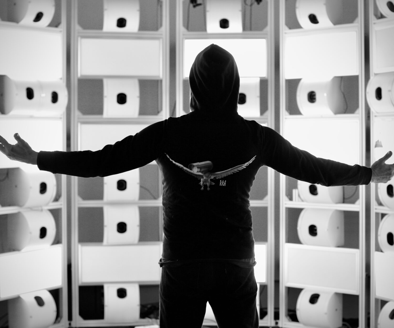 Mark Ghuneim standing a mid Raphaela Vogel's work In the Expanded Penalty Box: Did You Happen to See the Most Beautiful Fox?